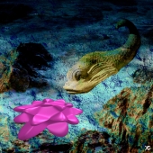 Lapis delphinus