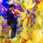 Autumn leaves